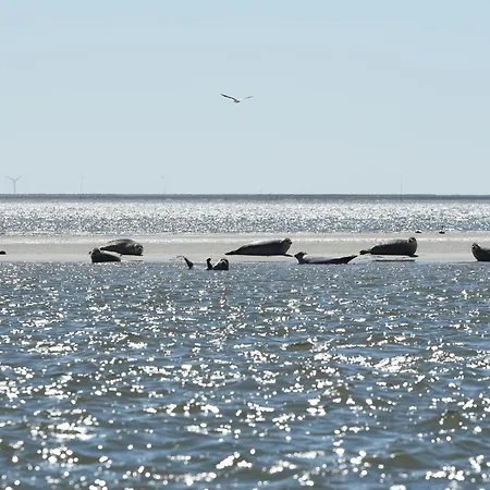 Gmelinstrasse 33 * Wyk auf Föhr